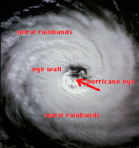 Hurrican.gif (50725 bytes)